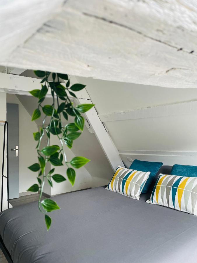 Be My Apparts, Appartement De Charme "Au Beffroi", Douai, Coeur De Ville Екстер'єр фото